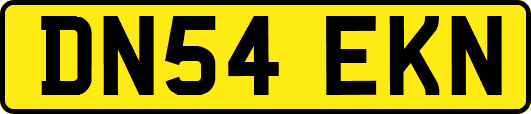 DN54EKN