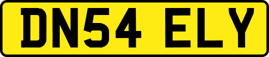 DN54ELY