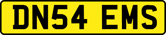 DN54EMS