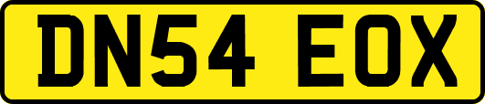 DN54EOX