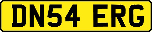 DN54ERG