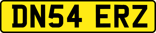 DN54ERZ