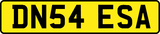 DN54ESA