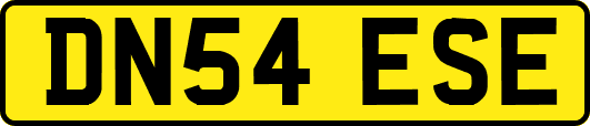 DN54ESE
