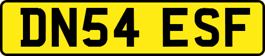 DN54ESF