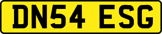 DN54ESG