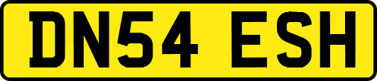 DN54ESH
