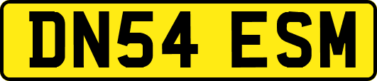 DN54ESM