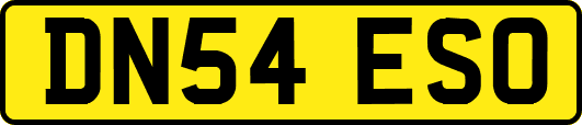 DN54ESO