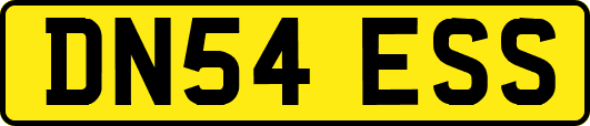 DN54ESS
