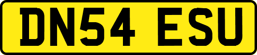 DN54ESU