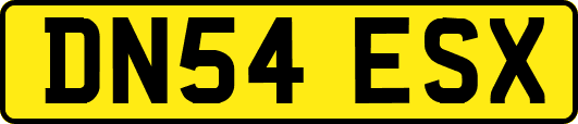 DN54ESX