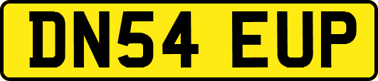 DN54EUP