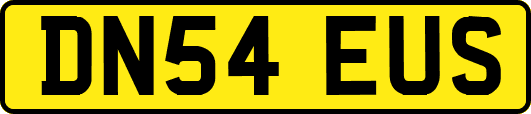 DN54EUS
