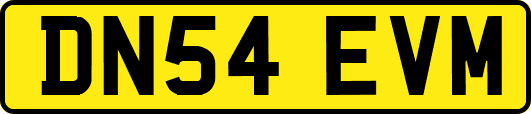 DN54EVM