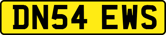 DN54EWS
