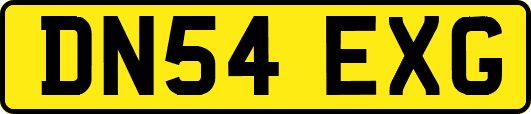 DN54EXG