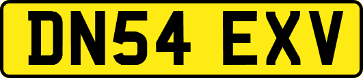 DN54EXV