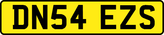 DN54EZS
