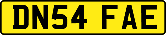DN54FAE