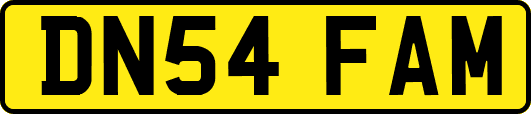 DN54FAM