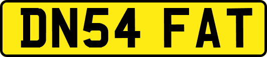 DN54FAT