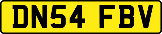 DN54FBV