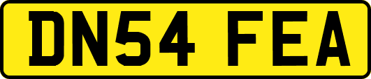 DN54FEA