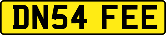 DN54FEE