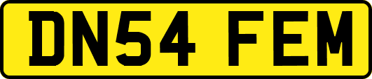 DN54FEM