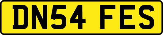 DN54FES