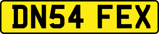 DN54FEX