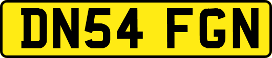 DN54FGN