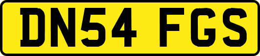 DN54FGS