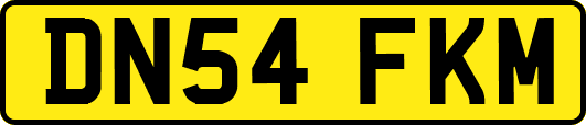 DN54FKM