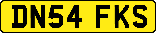 DN54FKS