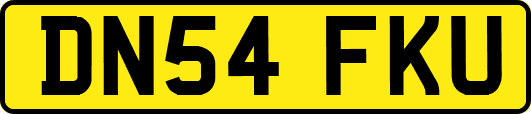 DN54FKU