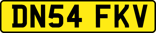 DN54FKV