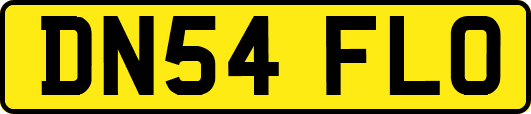 DN54FLO