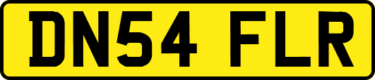 DN54FLR