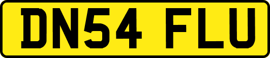 DN54FLU
