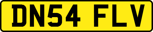 DN54FLV