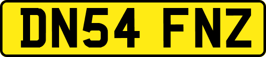DN54FNZ