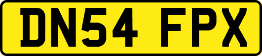 DN54FPX