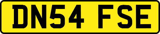 DN54FSE