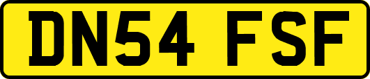 DN54FSF