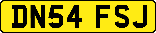 DN54FSJ