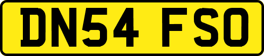 DN54FSO
