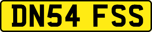 DN54FSS