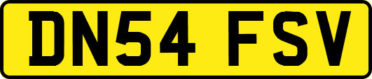 DN54FSV